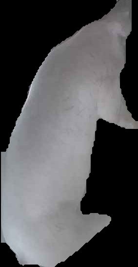 Crop