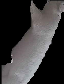 Crop