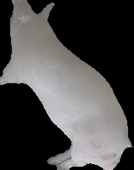 Crop