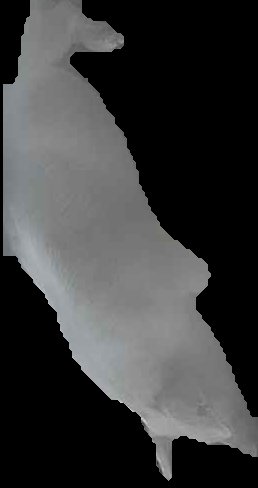 Crop