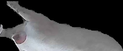 Crop