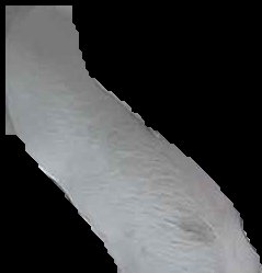 Crop