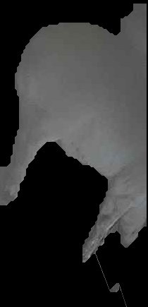 Crop