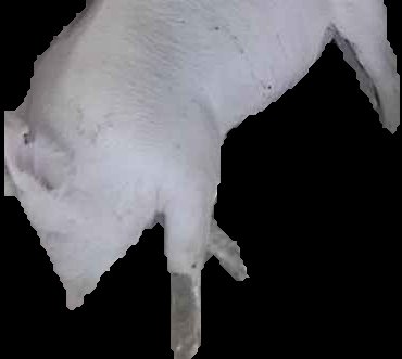 Crop