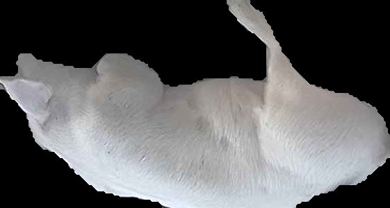 Crop