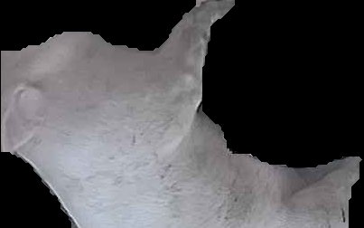 Crop