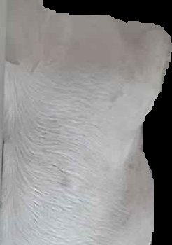 Crop