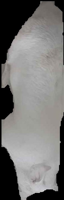 Crop