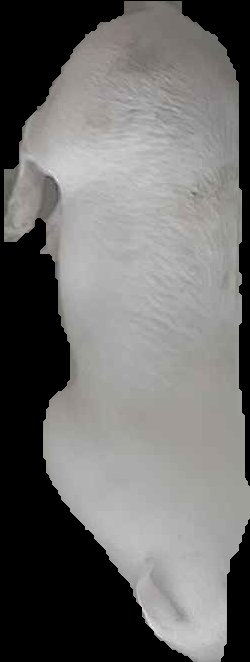 Crop