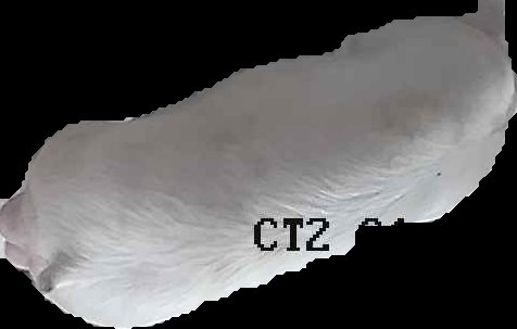 Crop
