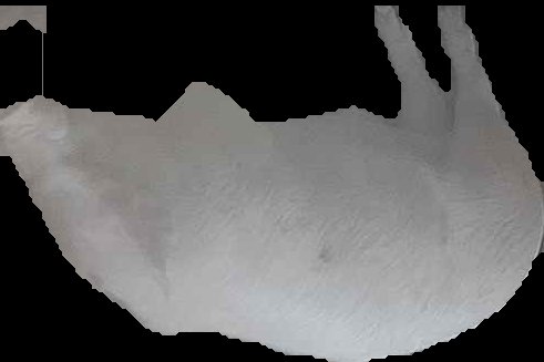 Crop
