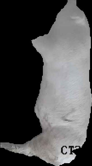 Crop