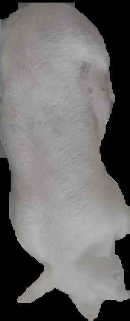 Crop