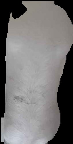 Crop