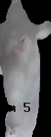 Crop