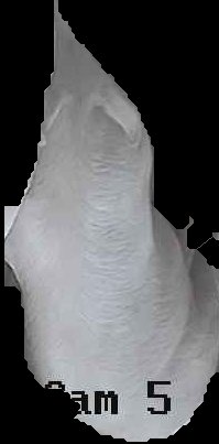 Crop