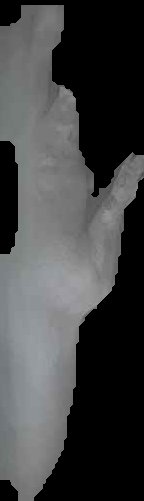 Crop