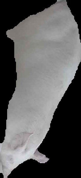 Crop