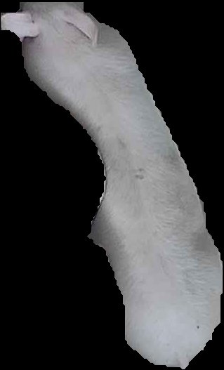 Crop