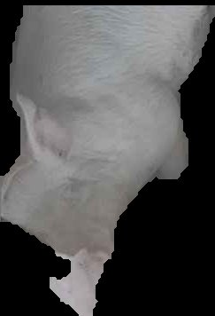 Crop