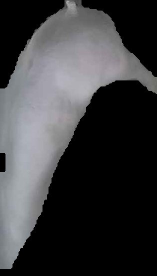 Crop