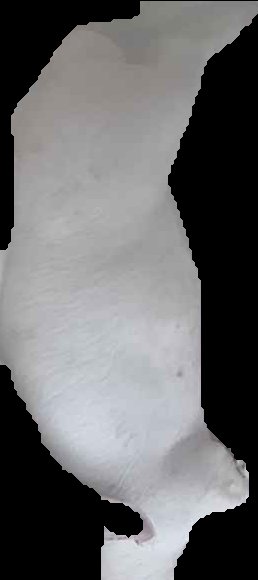 Crop