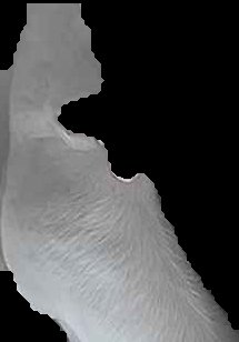 Crop