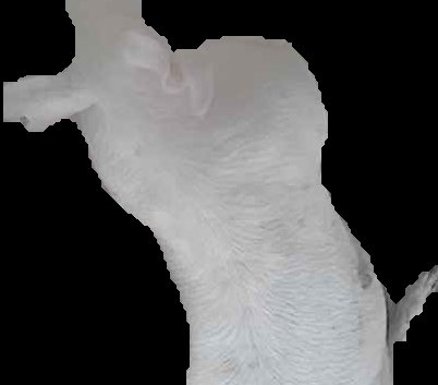Crop