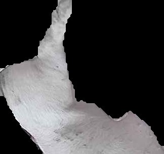 Crop