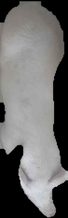 Crop