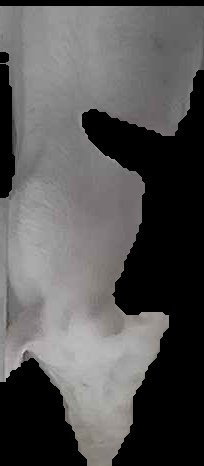 Crop