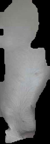 Crop