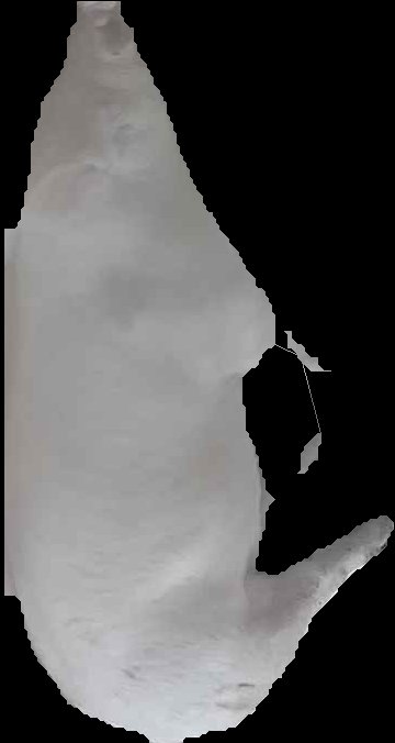 Crop