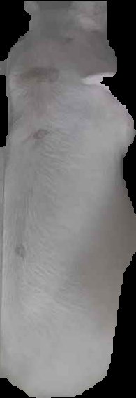 Crop