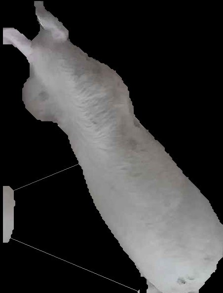 Crop