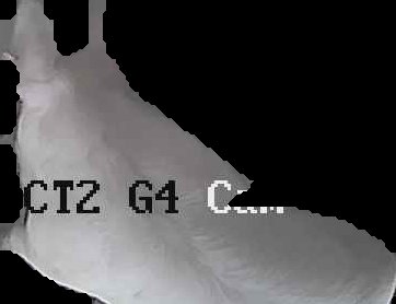 Crop
