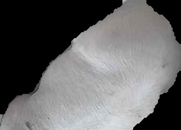 Crop