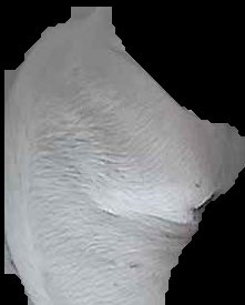 Crop