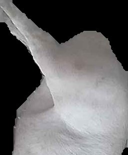 Crop