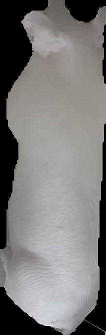 Crop