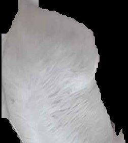 Crop