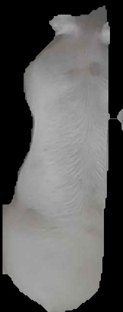 Crop