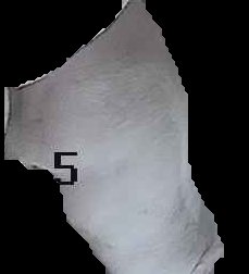 Crop