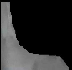 Crop