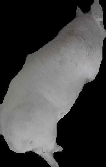 Crop