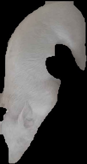 Crop