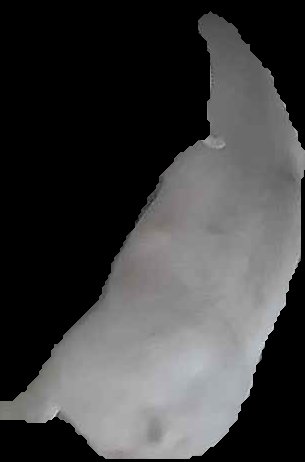 Crop