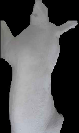 Crop