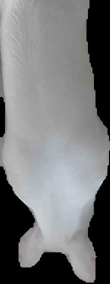 Crop