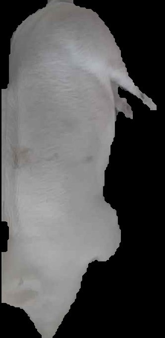 Crop